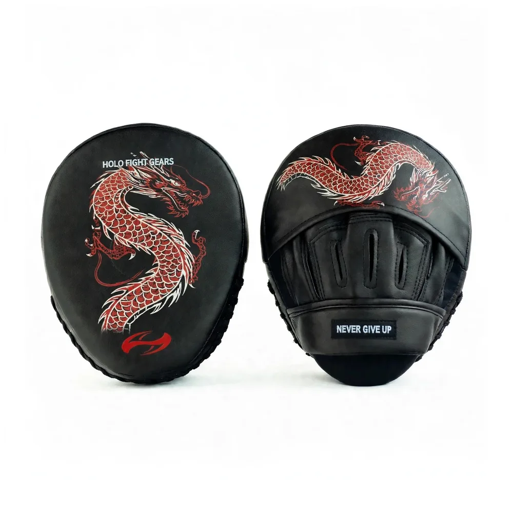 Dragon Holo Fight Gears focus mitts, compact rounded coaching mitts with printed graphic striking face, finger cover flap, finger slots and padded wrist band